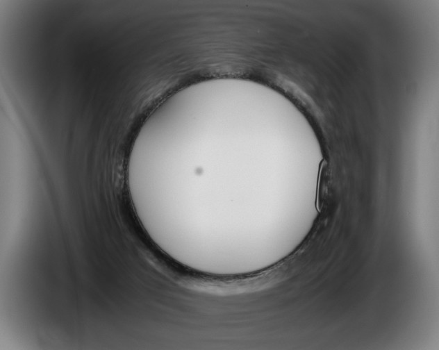 X0000086310017200704202011