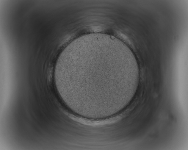 X0000086310018200704202011