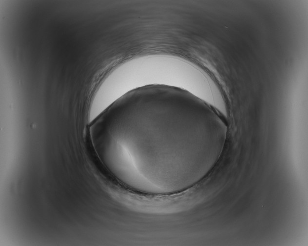 X0000086310019200704202011