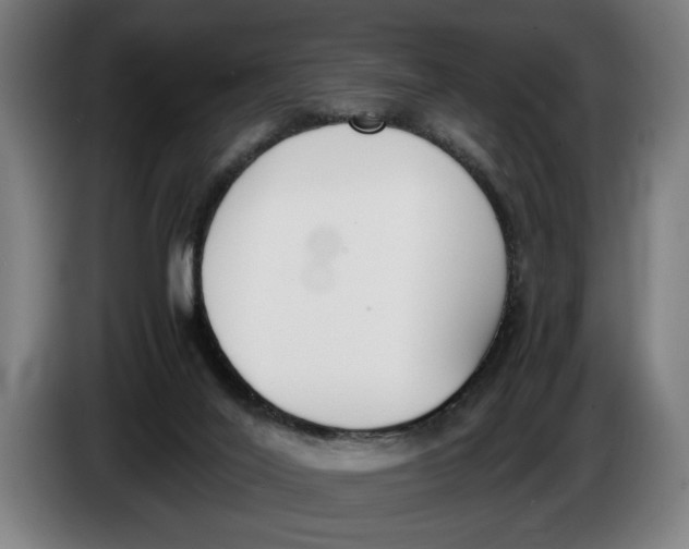 X0000086310020200704202011