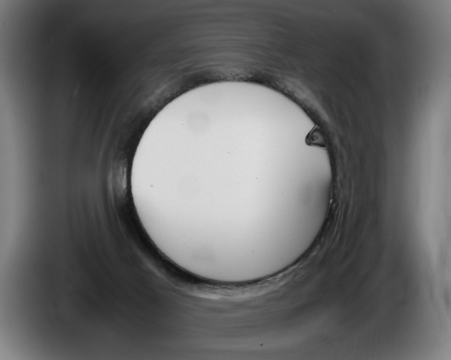 X0000086310021200704202011