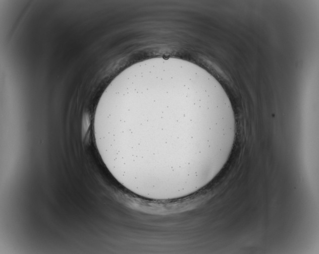 X0000086310022200704202011