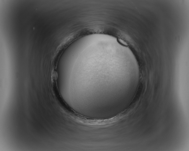 X0000086310023200704202011