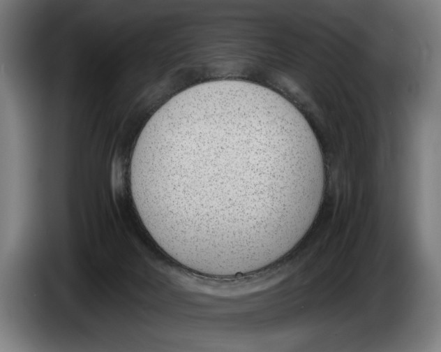 X0000086310026200704202011