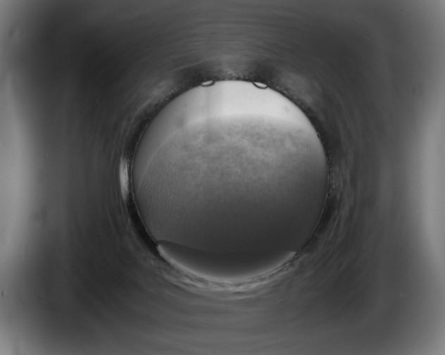 X0000086310027200704202011