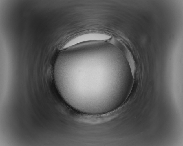 X0000086310029200704202011