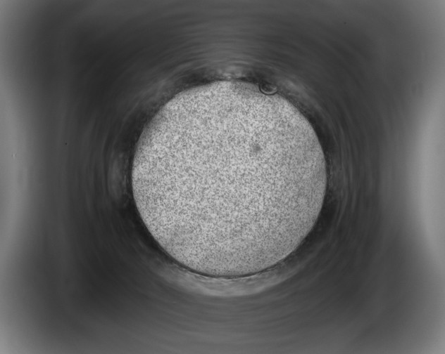 X0000086310030200704202011