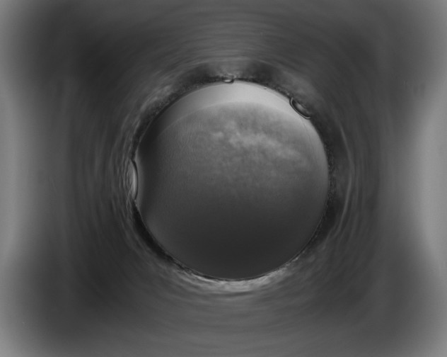 X0000086310031200704202011