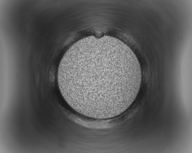 X0000086310032200704202011