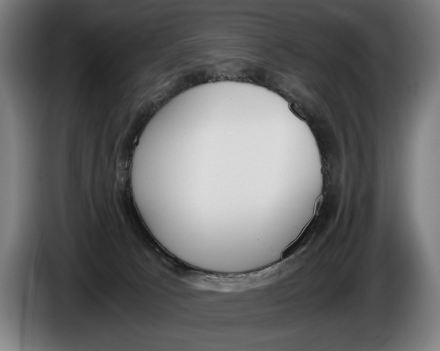 X0000086310033200704202011