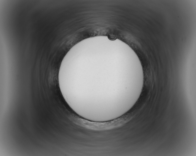 X0000086310034200704202011