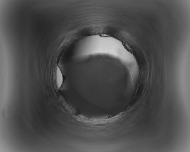 X0000086310035200704202011