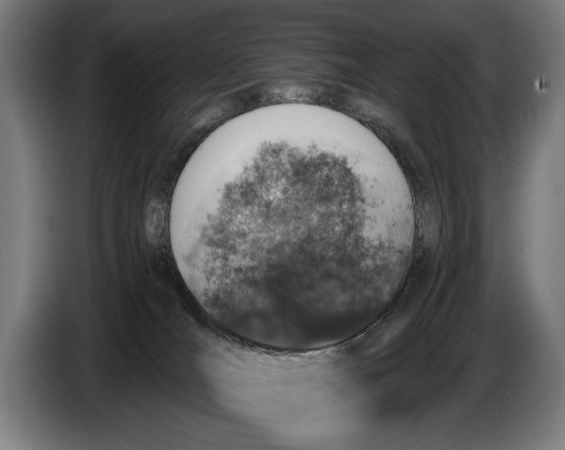 X0000086310036200704202011