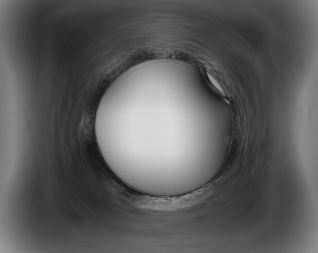 X0000086310037200704202011