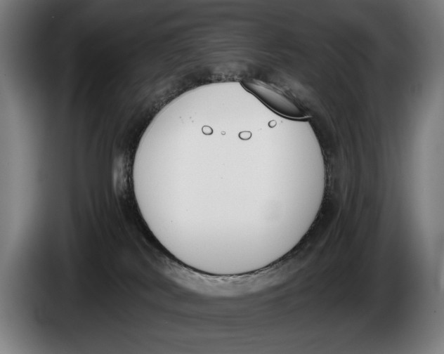 X0000086310038200704202011