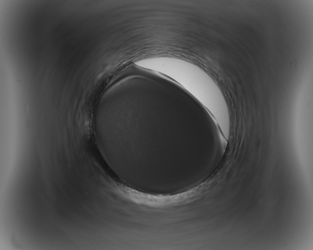 X0000086310039200704202011