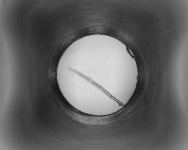 X0000086310040200704202011