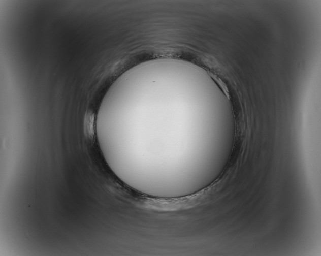 X0000086310041200704202011