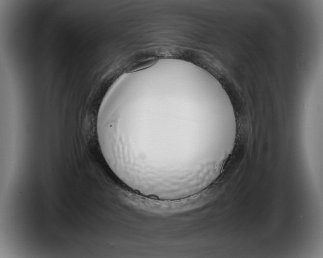 X0000086310043200704202011