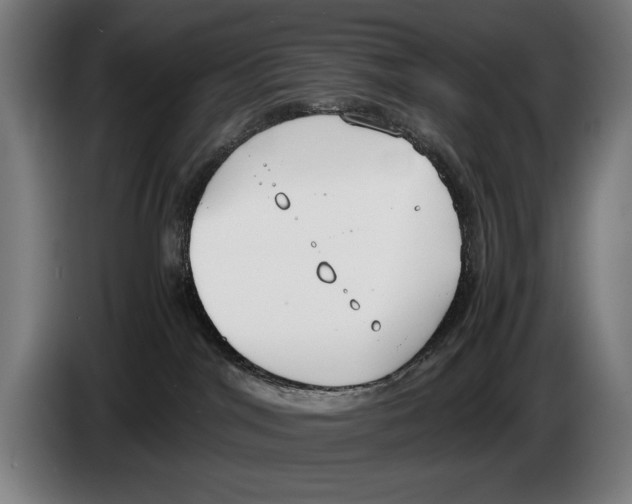 X0000086310044200704202011