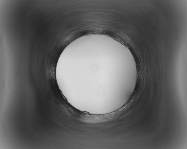 X0000086310045200704202011