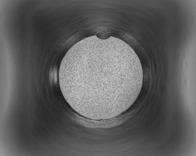 X0000086310046200704202011