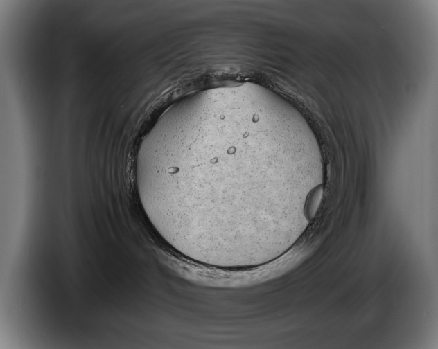 X0000086310048200704202011