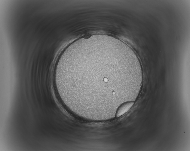 X0000086310049200704202010