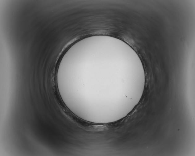 X0000086310050200704202010