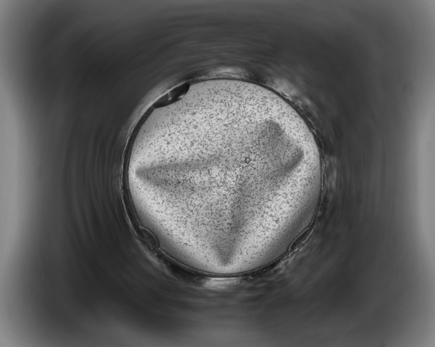 X0000086310051200704202010