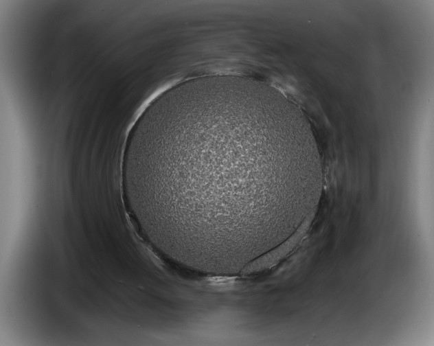 X0000086310052200704202010