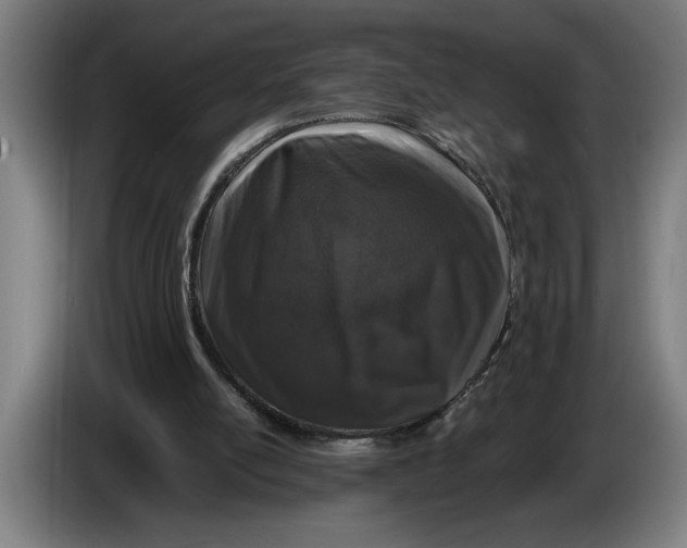 X0000086310054200704202010