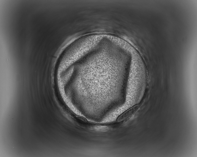 X0000086310055200704202010