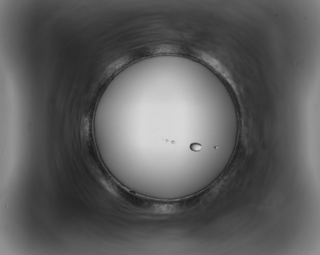 X0000086310057200704202010