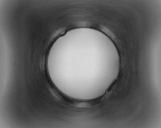 X0000086310058200704202010