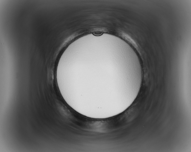 X0000086310059200704202010