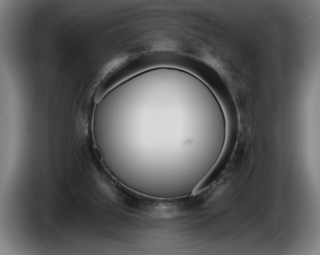 X0000086310060200704202010