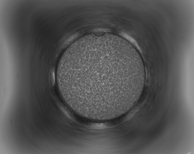 X0000086310061200704202010