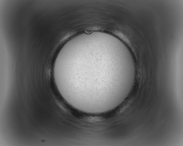 X0000086310063200704202010