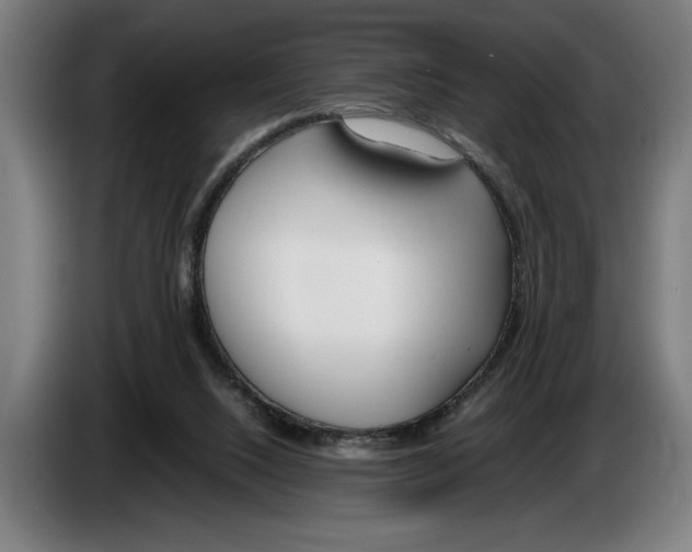 X0000086310064200704202010