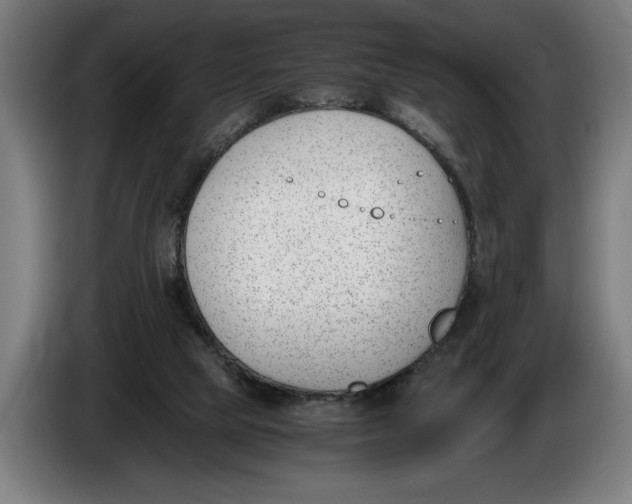 X0000086310065200704202010