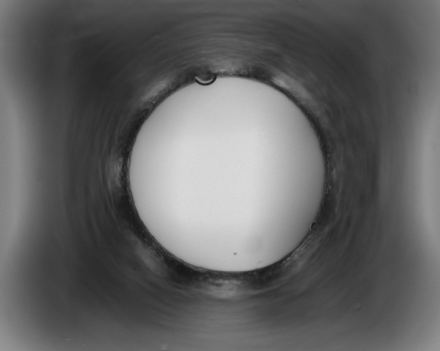 X0000086310066200704202010