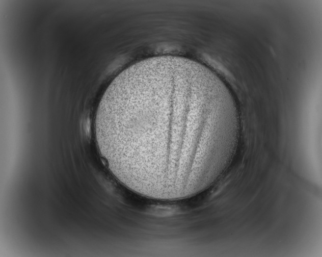 X0000086310067200704202010