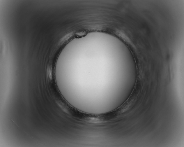 X0000086310068200704202010