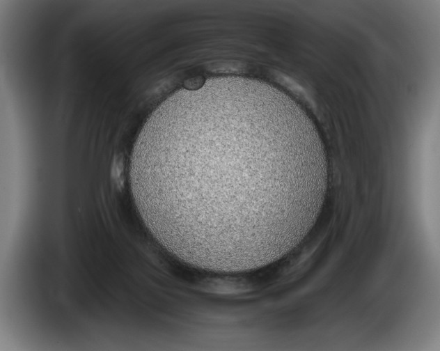 X0000086310069200704202010