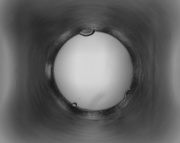 X0000086310070200704202010