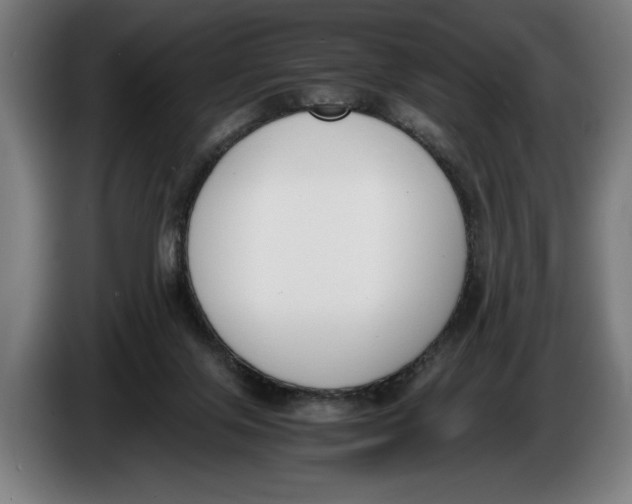 X0000086310071200704202010