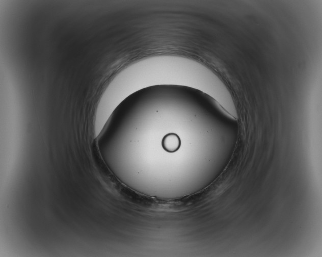 X0000086310072200704202010