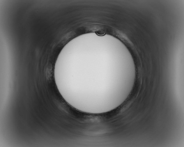 X0000086310073200704202010