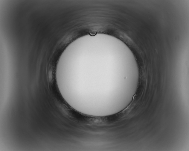 X0000086310074200704202010